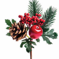 ART. 7157 *ESAURITO*