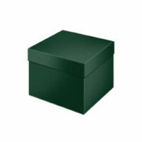 ART. 1134 *ESAURITO*