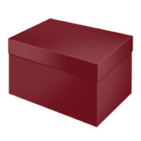 ART. 1119 *ESAURITO*